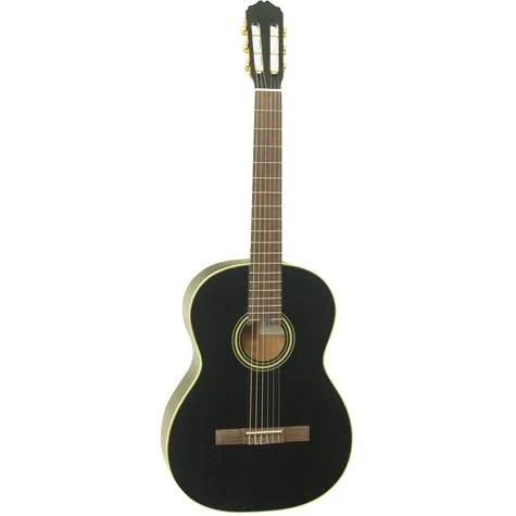 dan-guitar-acoustic-takamine-d31